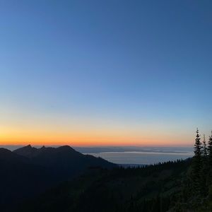 Meet your Posher, Ty